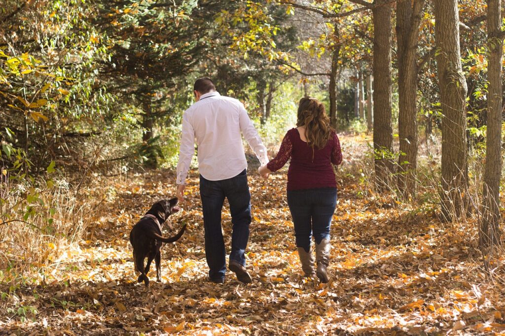 family, walking, woods
