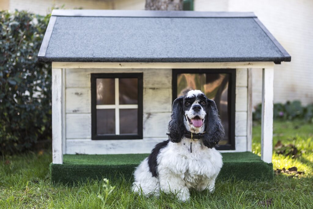 kennels for pets, dog houses, pet