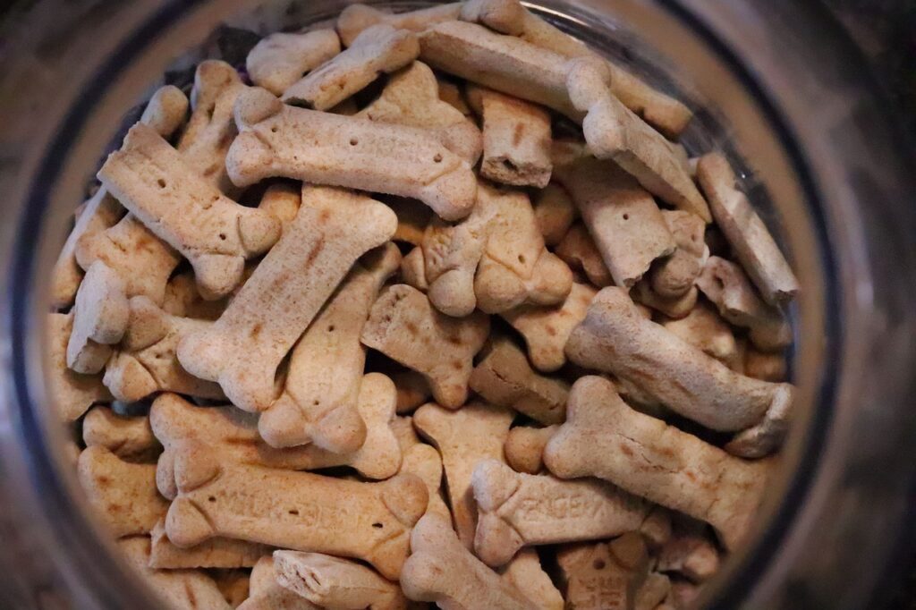 dog treats, bone, biscuit