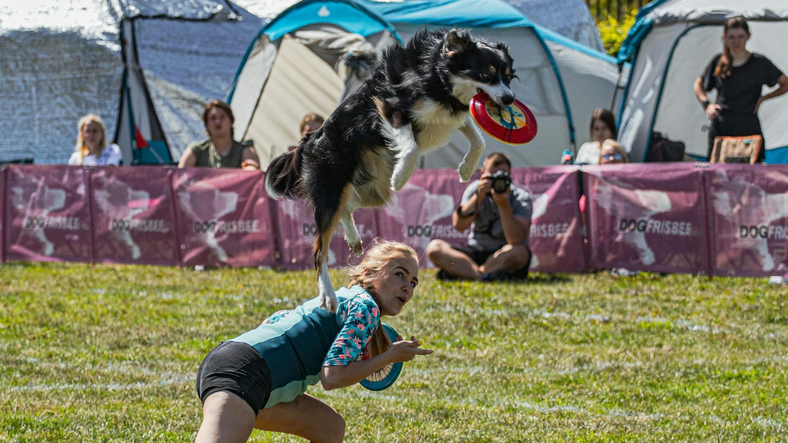 A Dog with Frisbee Jumping from a Woman's Back