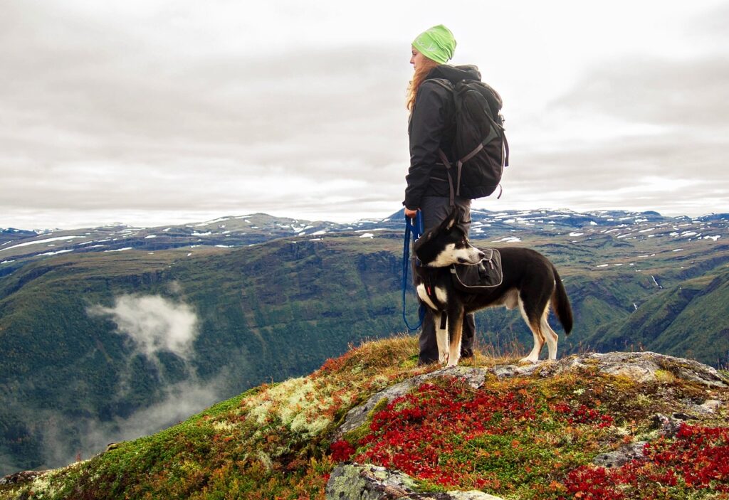 dog, mountains, hike