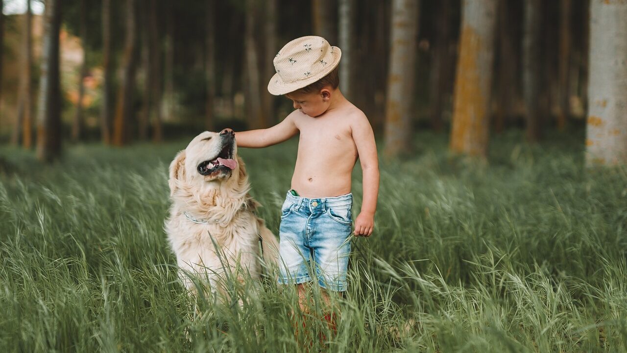 child, dog, field