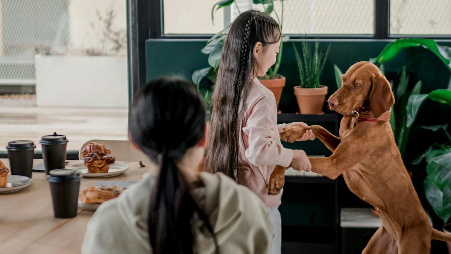 Girl Playing with Dog