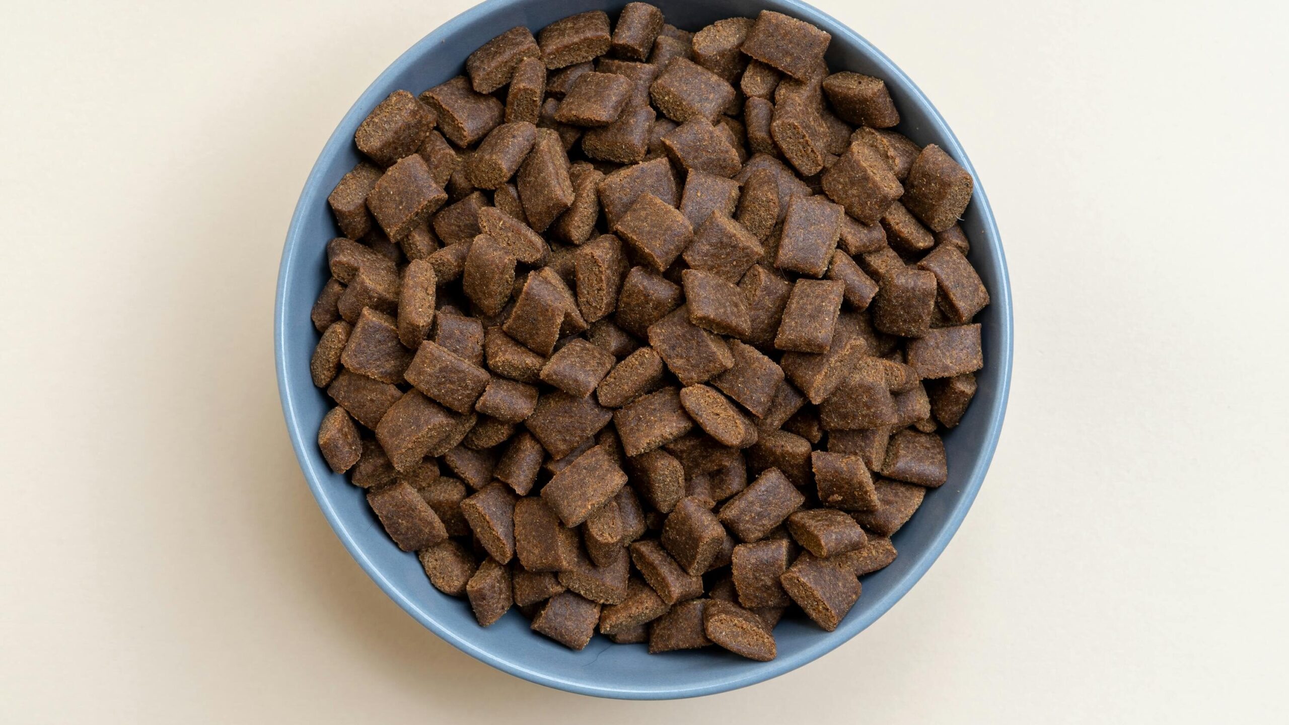 A Bowl of Dog Food